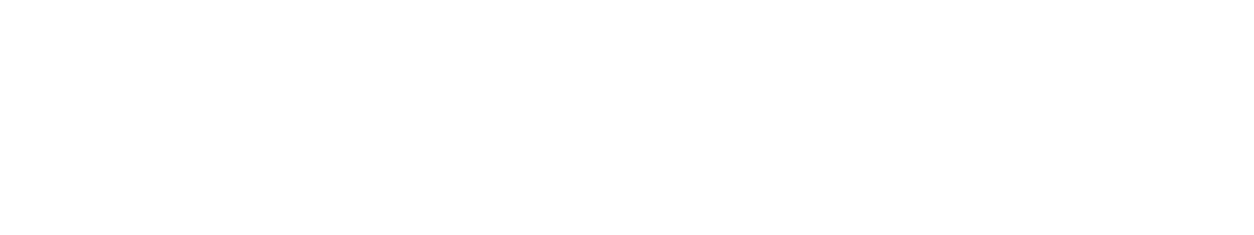 SaasLeap Horizontal Logo White
